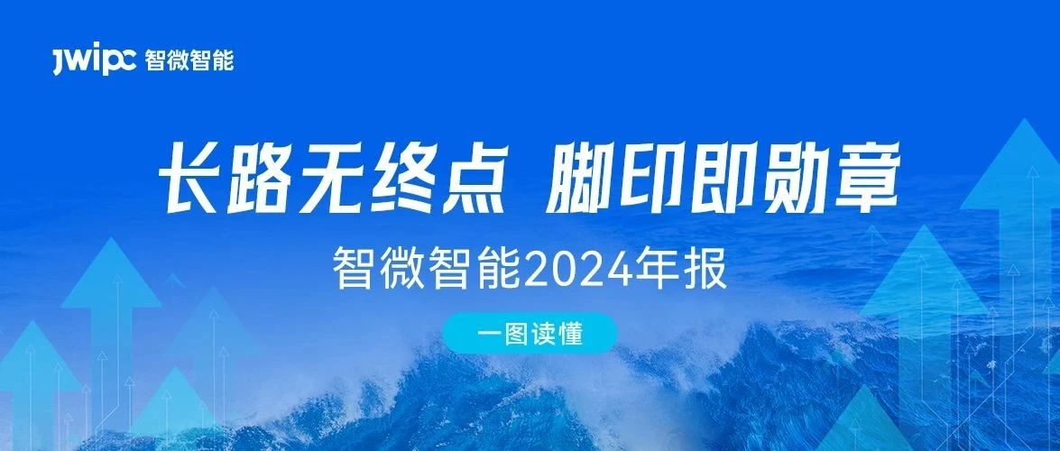 [一圖讀懂智微智能2024年報] 長路無終點，腳印即勛章. 2024年實現營收與利潤雙增長